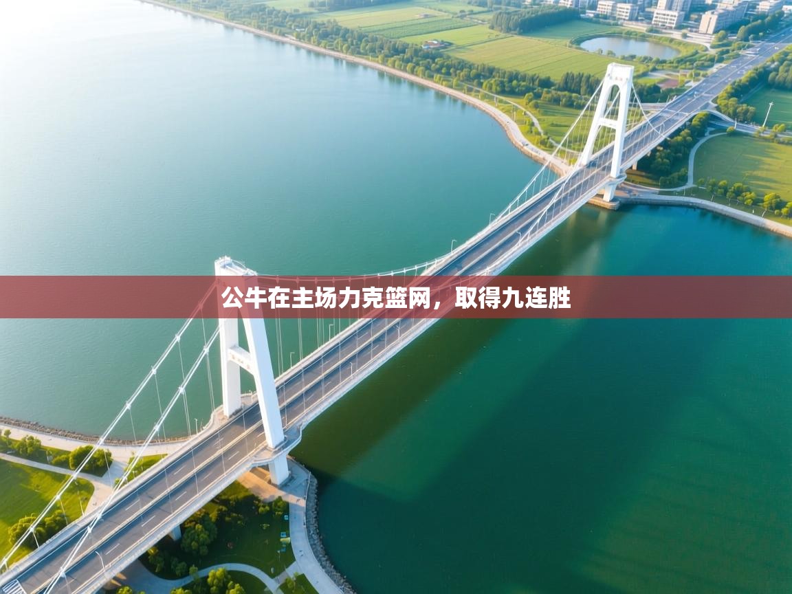 公牛在主场力克篮网，取得九连胜  第1张